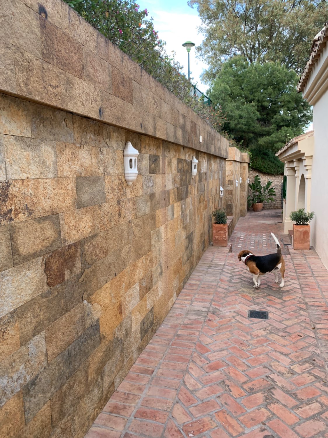 Chalethaus zum verkauf in Cerrado de Calderón (Málaga)