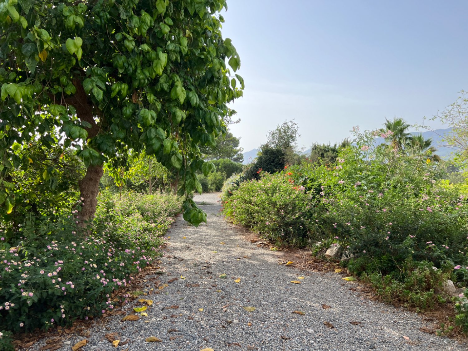 Finca en venta en Cártama