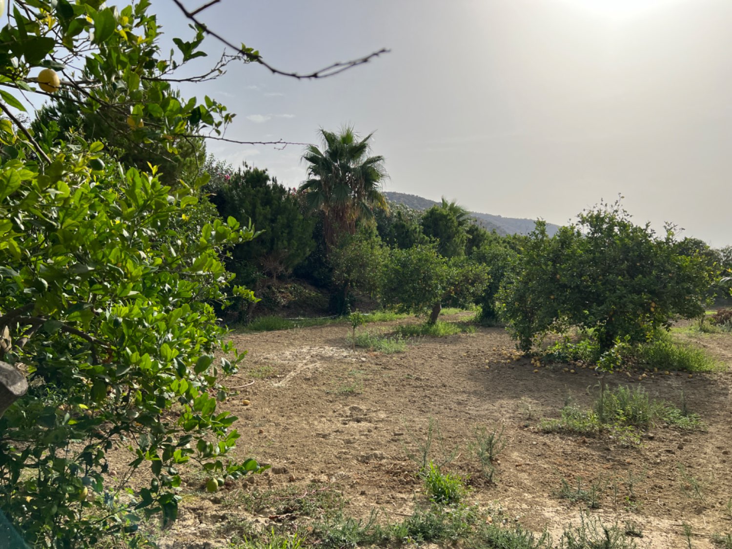 Finca en venta en Cártama