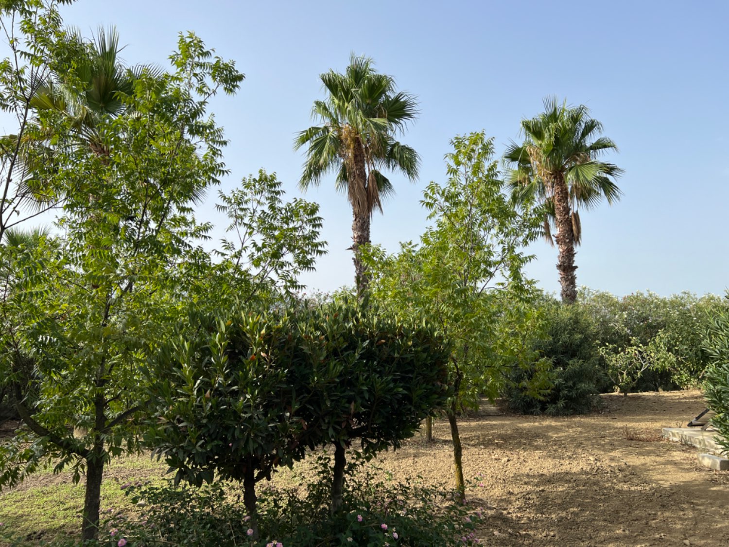 Finca en venta en Cártama